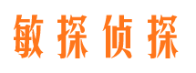 桃城市侦探公司